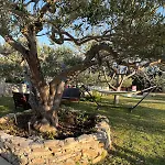 House Ljubica - Ideal Vacation Spot بيت للعطل *