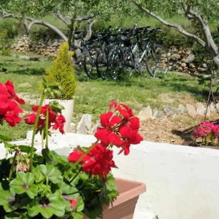 House Ljubica - Ideal Vacation Spot بول