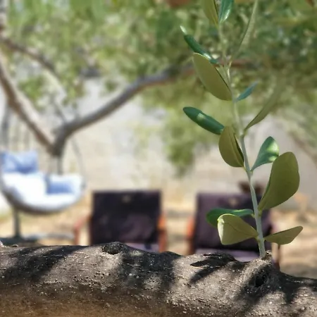 بيت للعطل House Ljubica - Ideal Vacation Spot بول